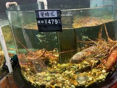 -九號渔港·蒸汽海鲜·粤菜茶点(八卦岭店)