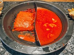 -蜀大侠火锅(总府路店)