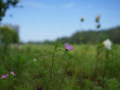 -北沙滩(地铁站)