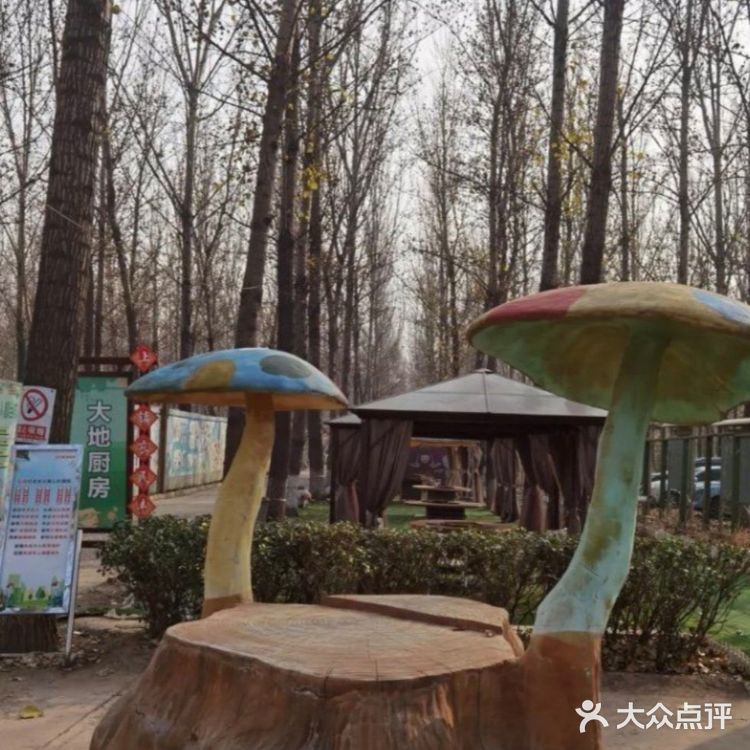 哇~可以亲近大自然的儿童乐园