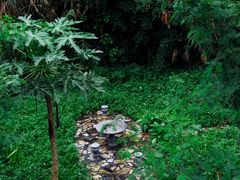 -梧桐山风景名胜区