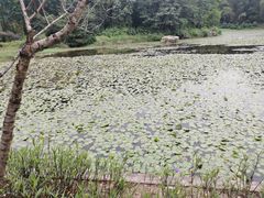 -大雁山风景区