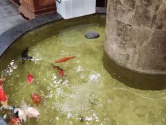 -古莲·影院足道·按摩SPA(水上温泉店)