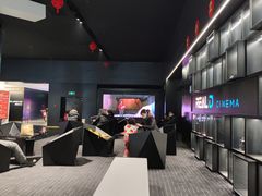 -奥斯卡升龙国际影城(RealD Cinema)