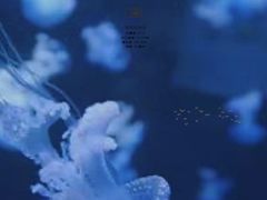 -常州海昌海洋探索馆