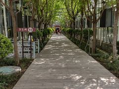 -南宫五洲植物乐园