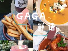-gaga(深圳南山益田假日广场店)