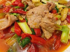 -曾牛肉