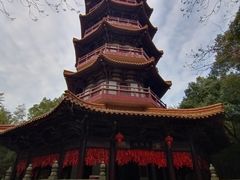 -天下玉苑