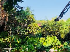 -海南热带野生动植物园