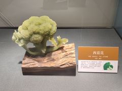 -大连自然博物馆·地球展厅
