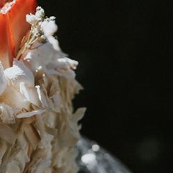 -凡碧诗毛孔收细