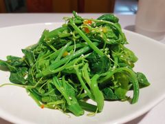 凉拌丝瓜尖-峨嵋酒家总店(车公庄店)