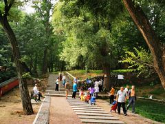 -阳台山自然风景区