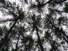 -硗碛藏寨·神木垒景区