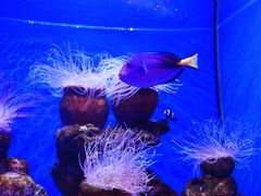 -多彩贵州城极地海洋世界