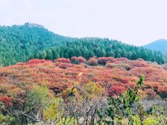 -石门坊