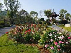 -东莞植物园