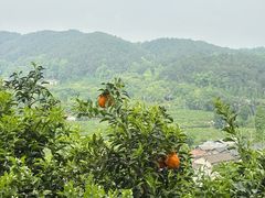 -樱桃山旅游景区