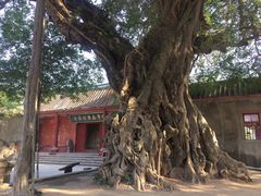 -闽粤南澳总镇府
