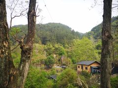 -杨家堂村