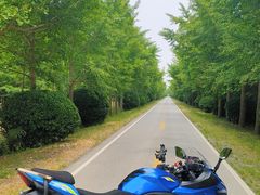 -黄海国家森林公园