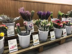 -鹿岛会员店 (龙湖三千集天街店)