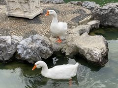-祝家花園(伯渎港店)