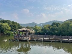 -无锡动物园·太湖欢乐园