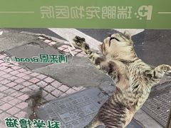 -瑞鹏·疫苗·绝育·宠物医院(广九店)