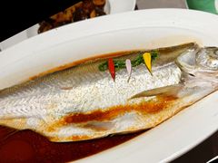 -醉庐·新上海菜(南京西路店)