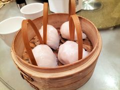 招牌虾饺皇-金鼎轩(方庄天坛店)