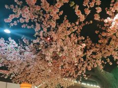 -荷塘秋月·本帮江浙菜(国权路店)