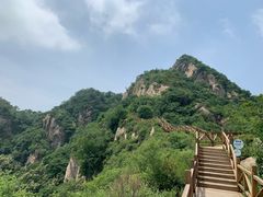 -大岭沟猕猴桃谷风景区