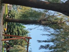 -羊亭河湿地公园