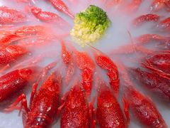 经典冰镇龙虾-红盔甲·小龙虾(天钥桥店)