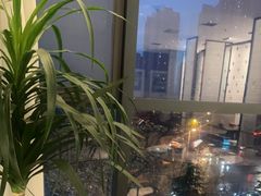 -鸽子侯·家宴·平价海鲜(绿地店)