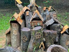 -中国科学院西双版纳热带植物园