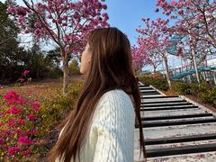 -盈香心动乐园
