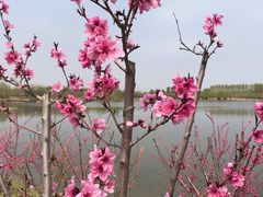 -东郊湿地公园