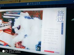 -知春路(地铁站)
