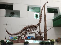 恐龙架子近照-中国科学技术馆影院