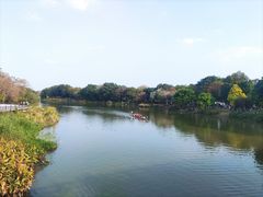 -海珠湖公园