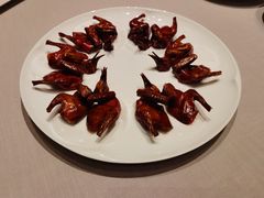 脆皮妙龄鸽-新荣记(新源南路店)