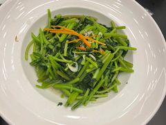 清炒茼蒿-浙C老邻舍(西城海错店)