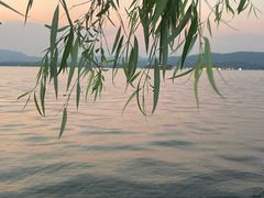 -柳莺湖上·湖景餐厅·江南菜(西湖店)