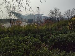 -第34届青岛国际啤酒节
