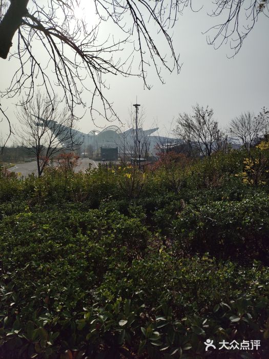 第34届青岛国际啤酒节图片