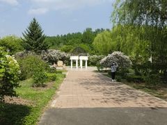 -黑龙江省森林植物园