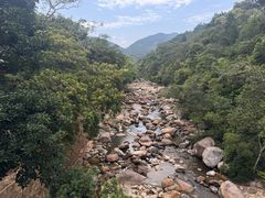 -海南热带雨林国家公园吊罗山景区